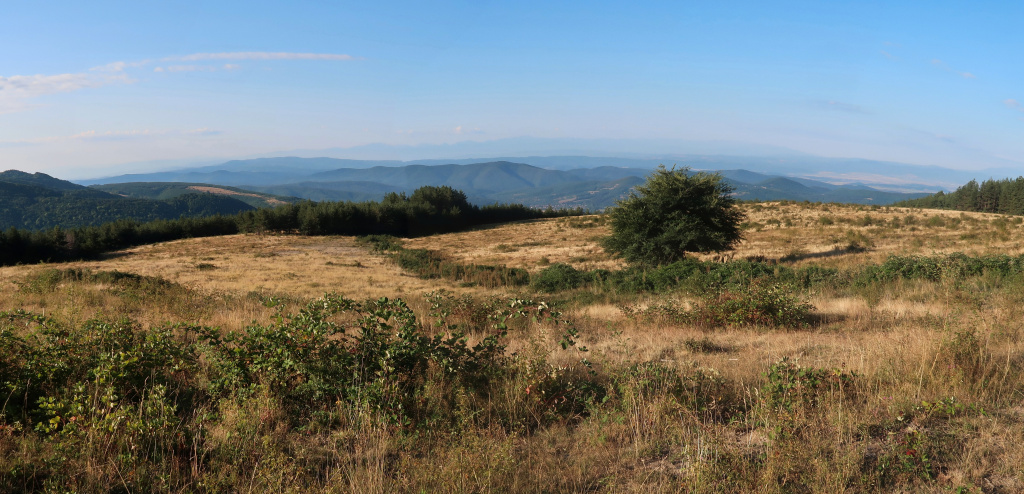 Etropolská planina