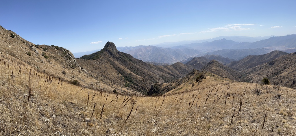 Arevik panorama