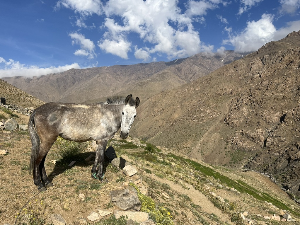 Toubkal údolí