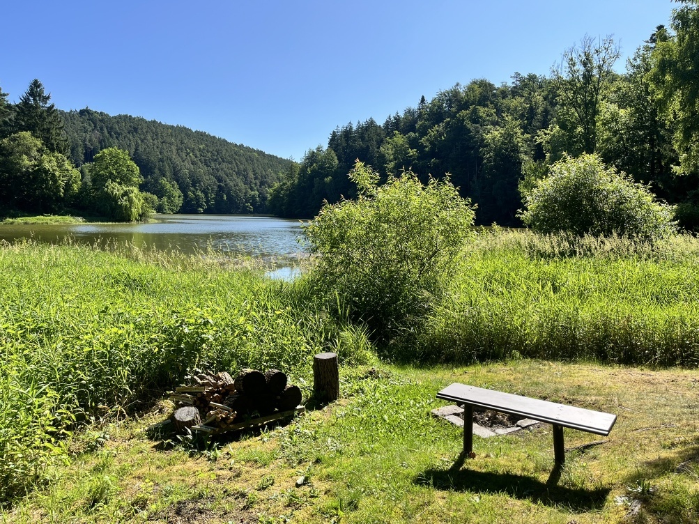 Křižanovice