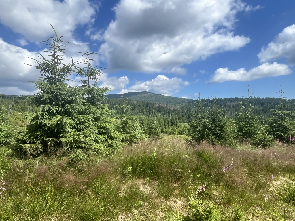 Vintířova stezka Šumava